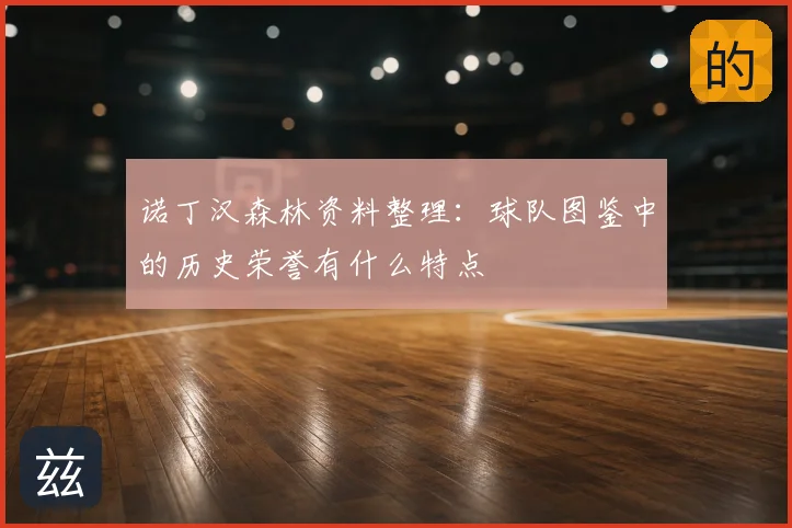 诺丁汉森林资料整理：球队图鉴中的历史荣誉有什么特点